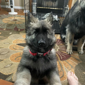 Meet your Posher, Deborah